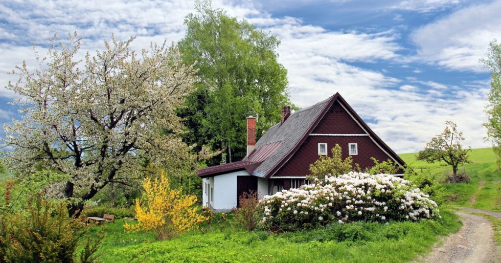 Sell My House to a Cash Buyer: A Tempting Trap or a True Treasure?