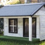 Cash for Houses
