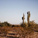 sell land arizona fast