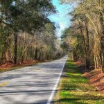 sell land south carolina fast