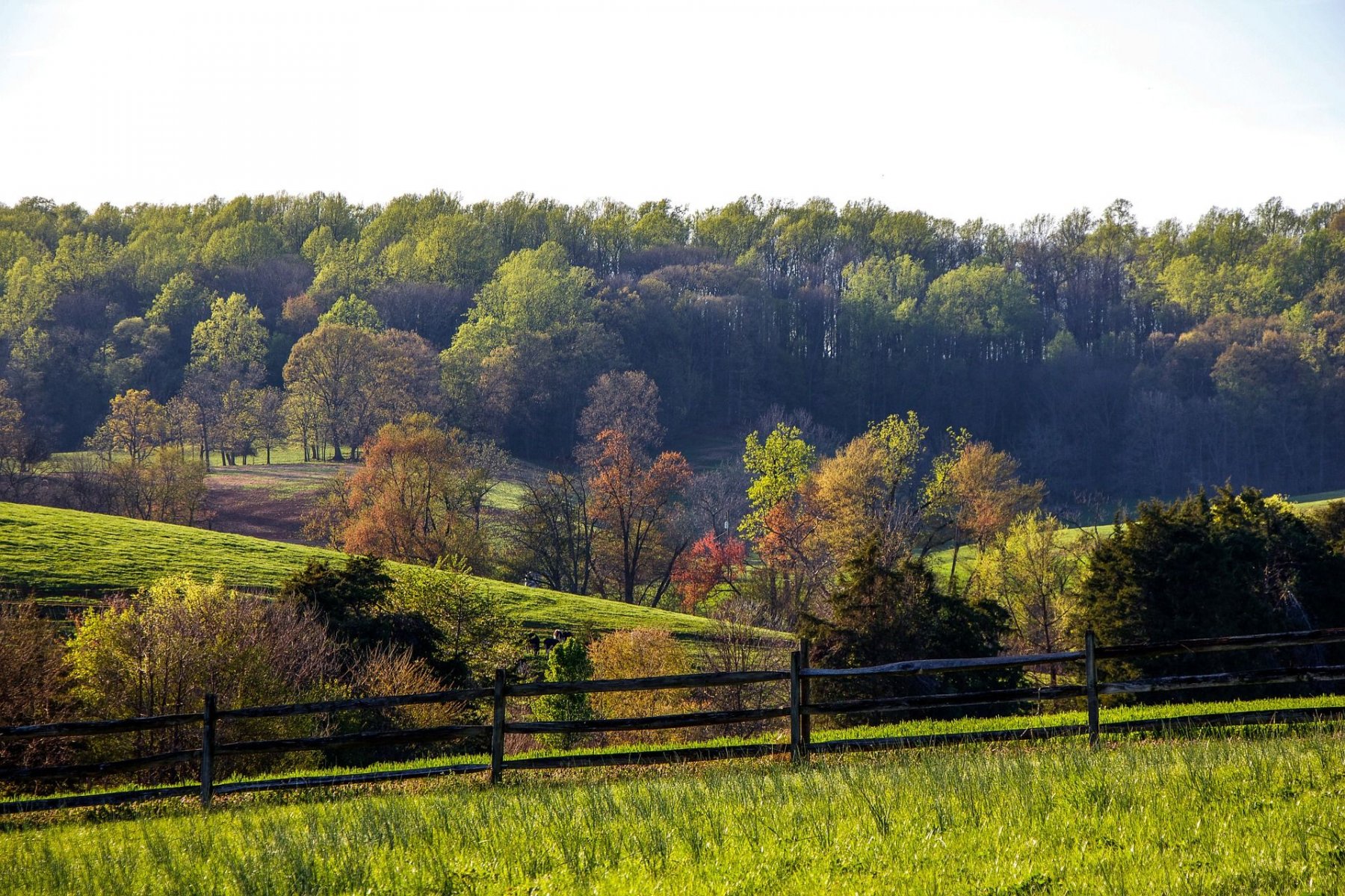 Sell Land Fast Virginia - We Buy Land Virginia