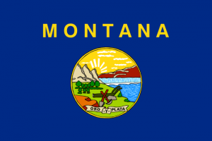 sell montana land fast