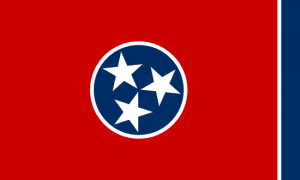 sell tennessee land fast