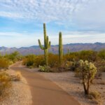 land-buyers-arizona-four-top-tips-to-find-them