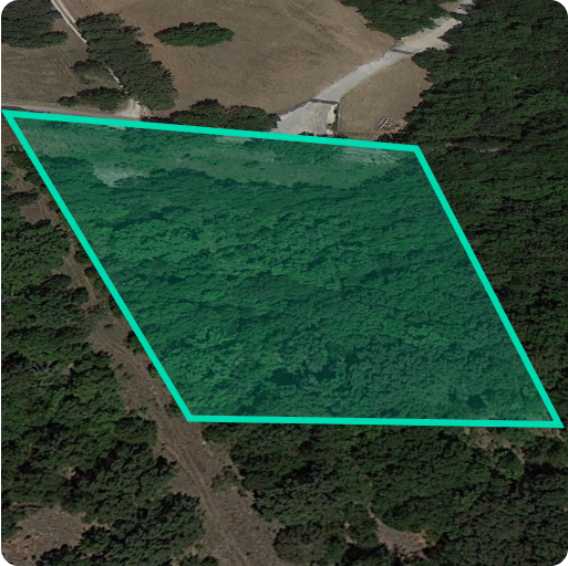 Purchased Texas Land