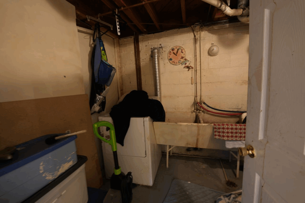 clean my home in virginia