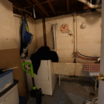 clean my home in virginia