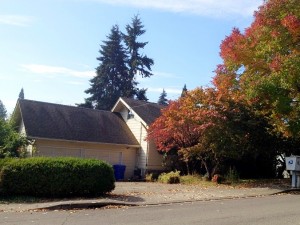 Estate House Sale