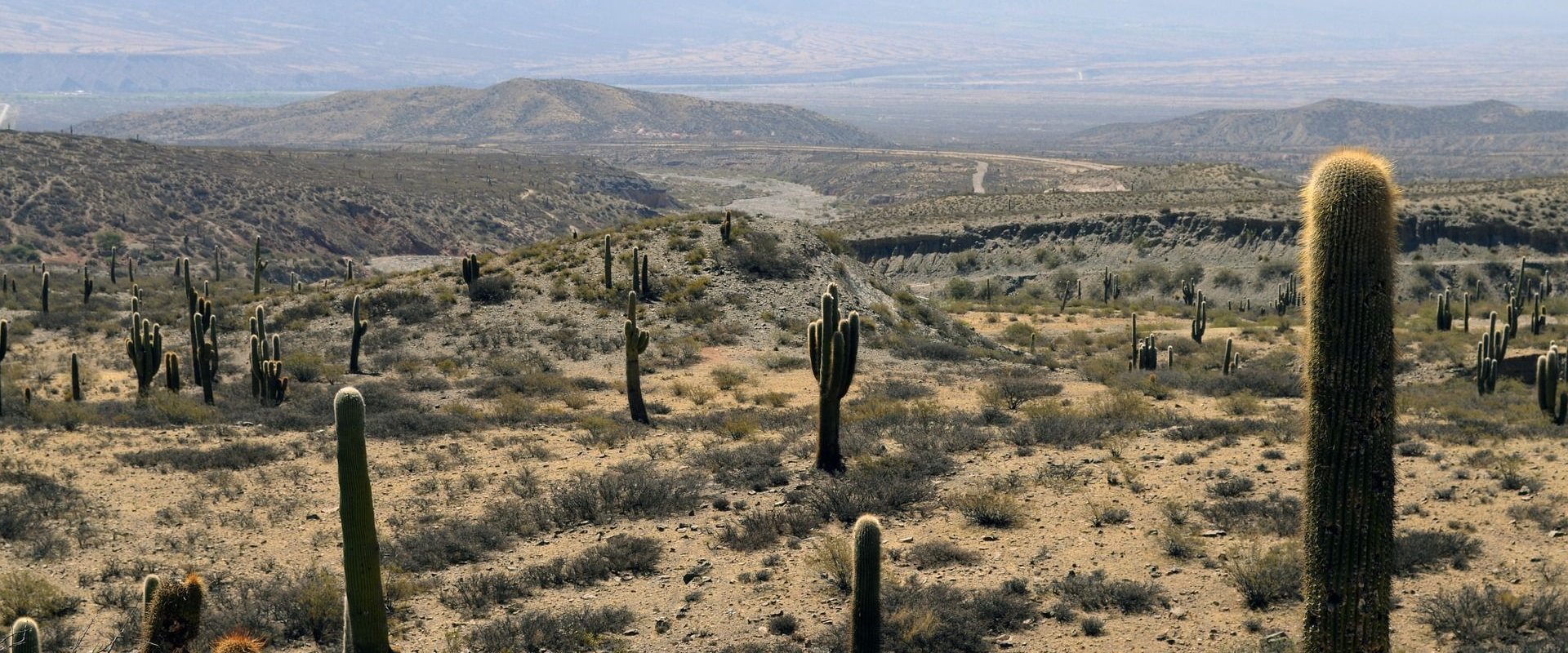 land-deals-247-cheap-land-for-sale