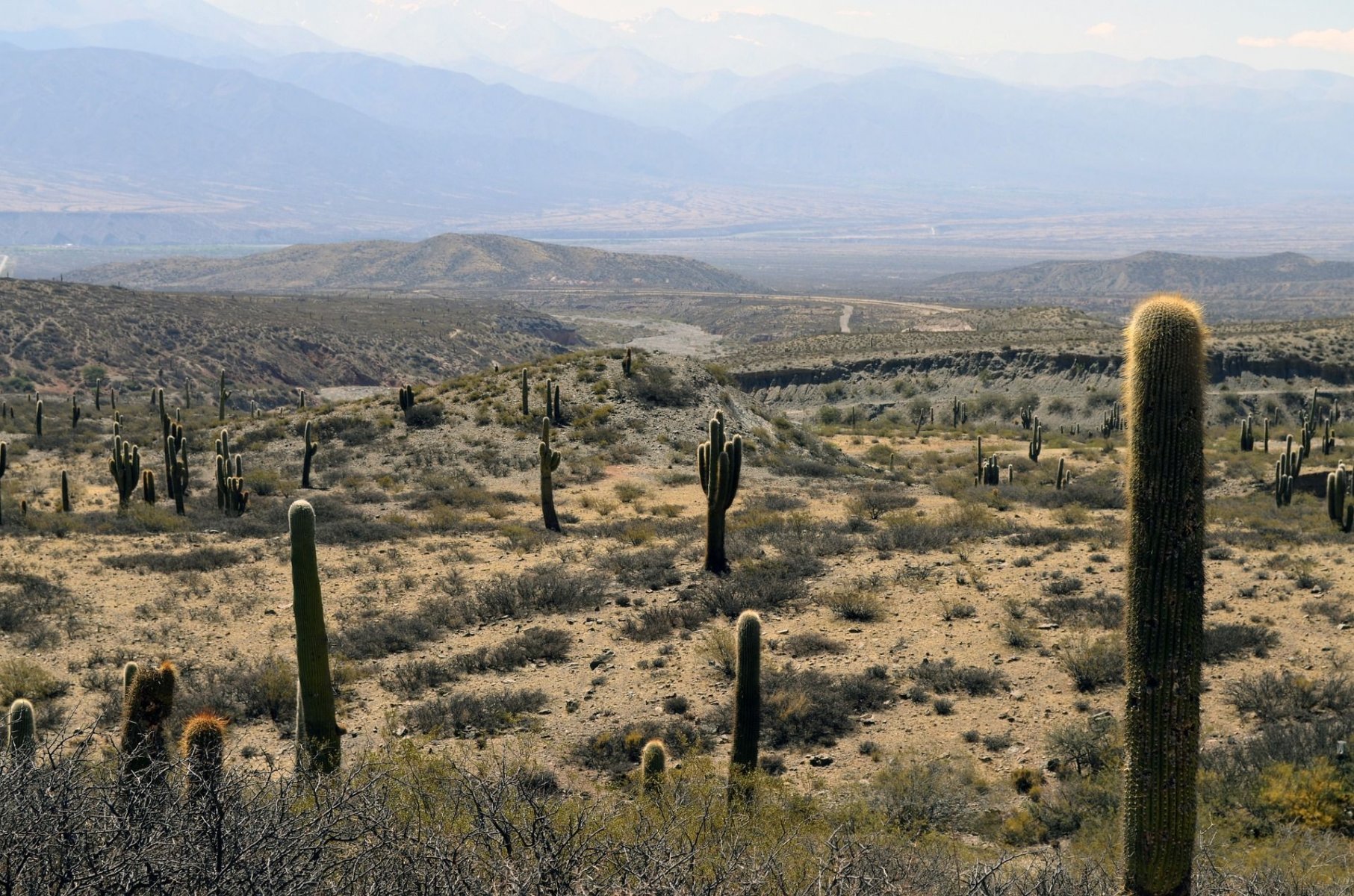 land-deals-247-cheap-land-for-sale