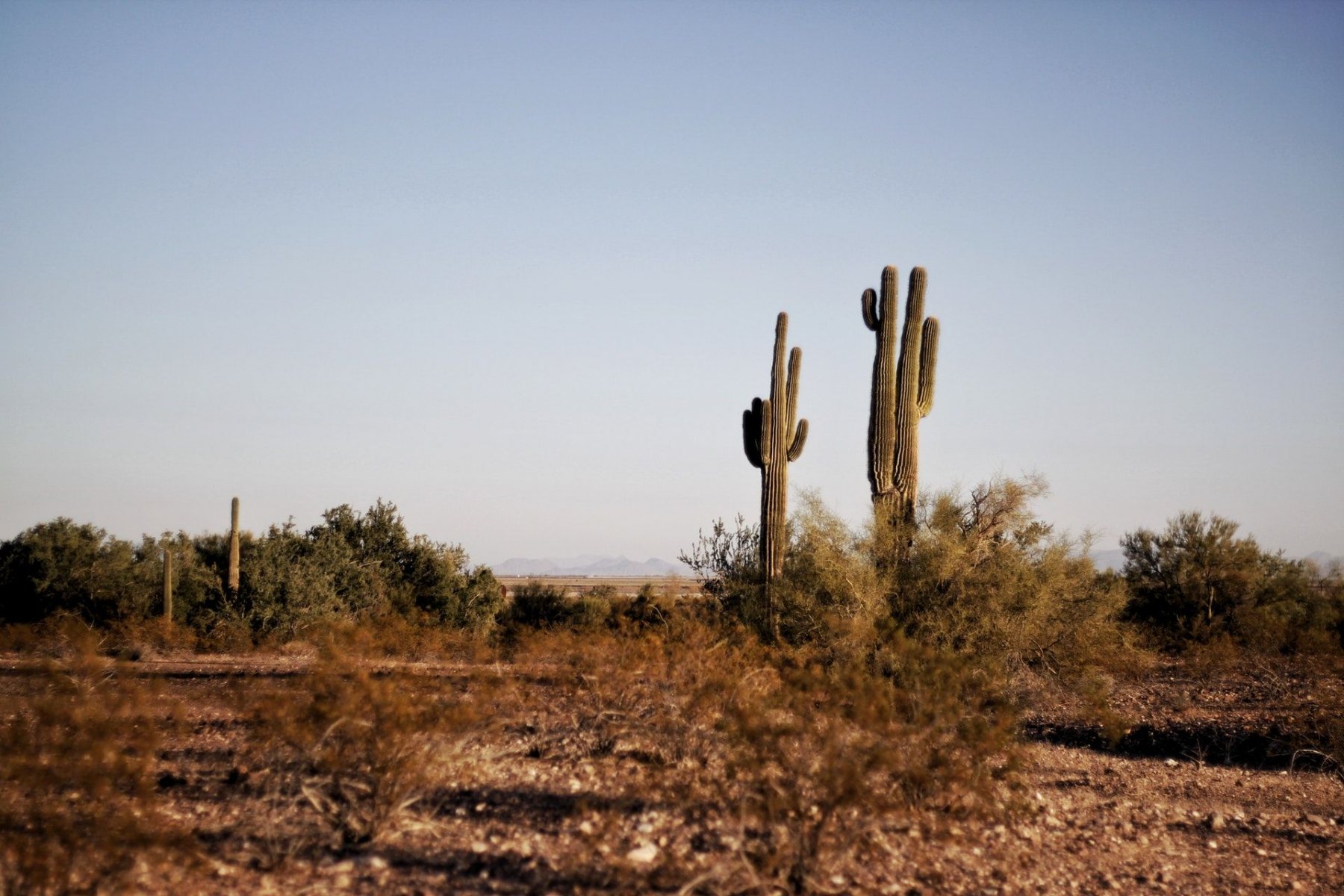 land-for-sale-arizona