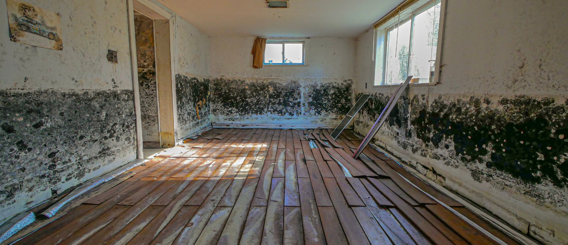 Sell a House With Mold in Texas