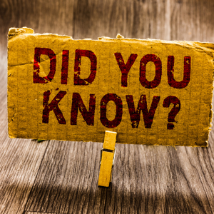 Cool Facts Brownsville 