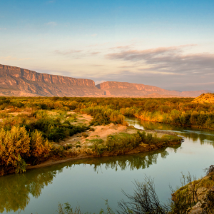 Free Activities In Brownsville