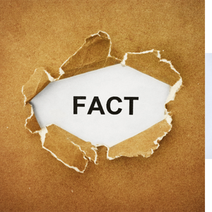 Quick Facts Brownsville 