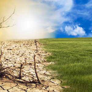 Great city to settle in Harlingen, TX