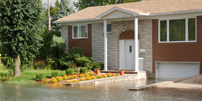 Selling a House with a Waterlogged Crawl Space in Texas