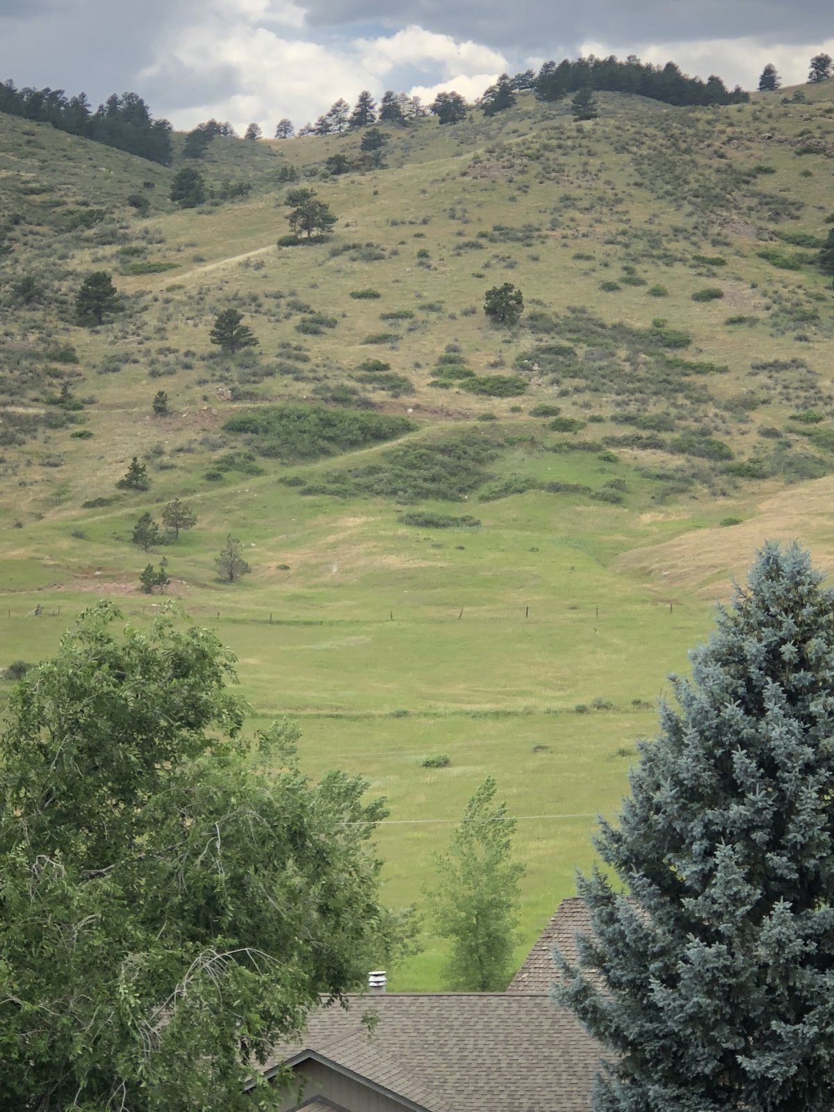 Sell My House Fast Wellington Colorado We buy houses in Wellington Colorados Best Home Buyers