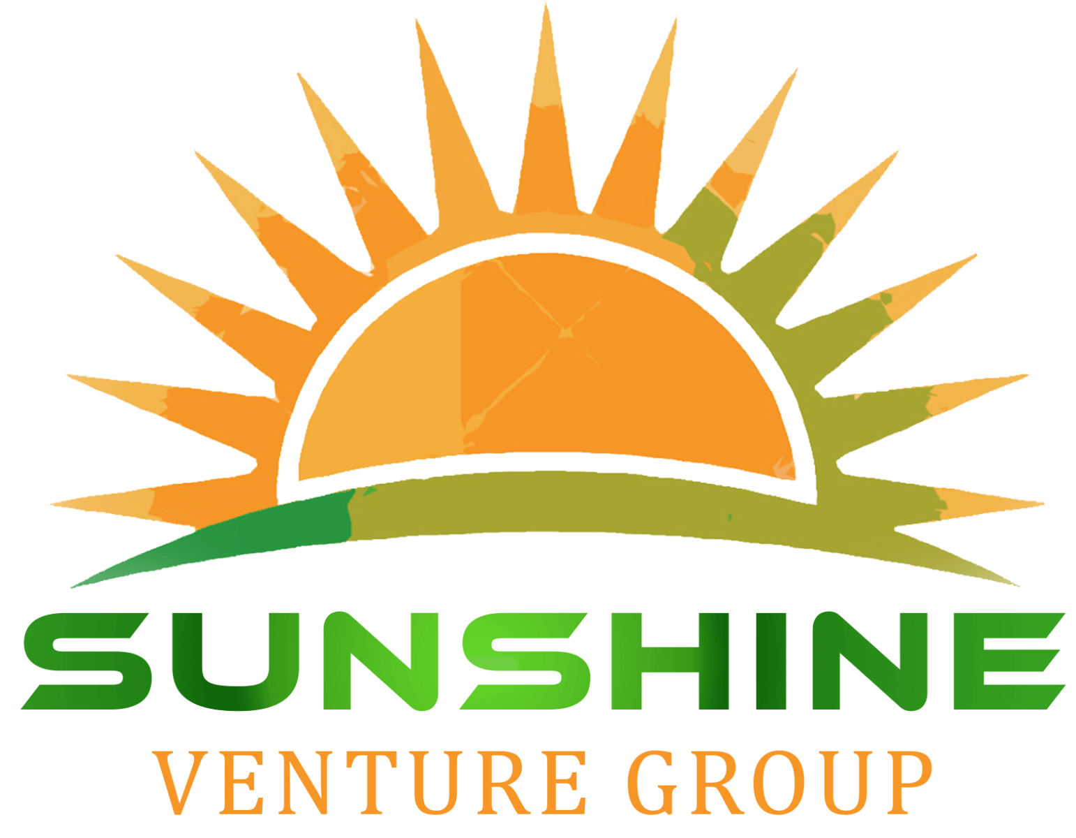 Sunshine Venture Group logo