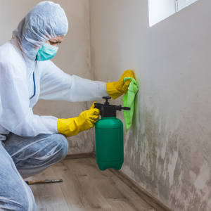 Steps to sell a house with mold in Washington