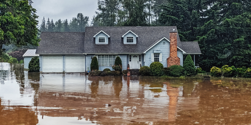What to Know About Selling a House With Water Damage In [market_city]