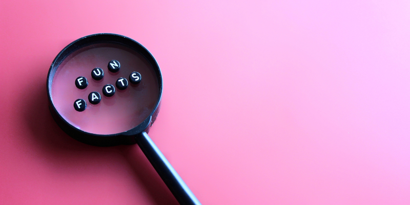 Cool Facts [market_city]