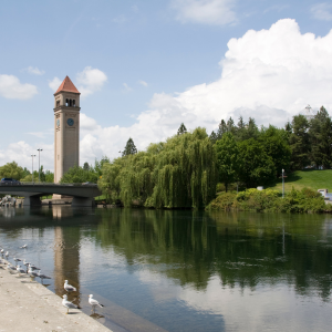 Cool Facts [maket_city]