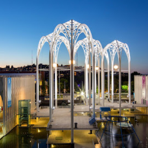 Top Fun Experiences for Kids Seattle, WA