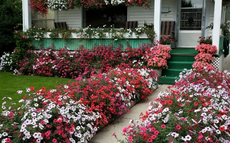 Curb Appeal