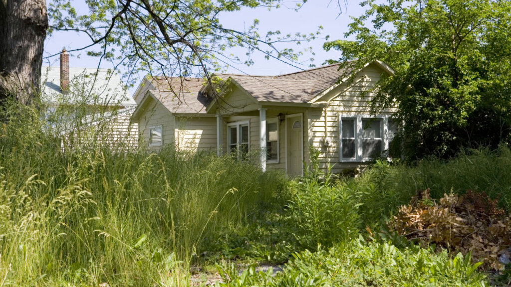 The Most Common Problems South Carolina Homeowners Face