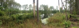 owner financing on land in NC - seller financing in Apex and surrounding cities