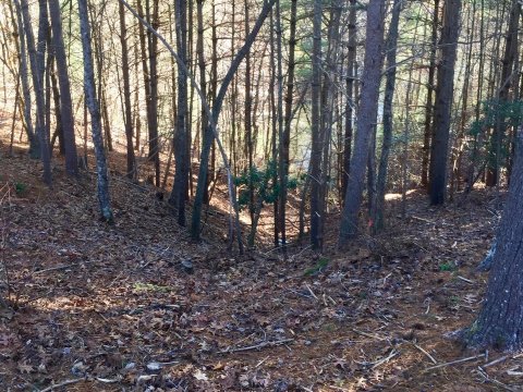 Lot 79 Lake James
