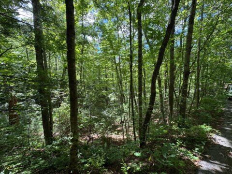 Majestic Trace 25 Hendersonville NC