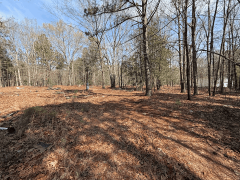 163 Deer Run Dr Roanoke Rapids NC