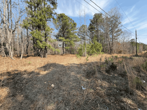 163 Deer Run Dr Roanoke Rapids NC