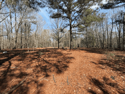 163 Deer Run Dr Roanoke Rapids NC