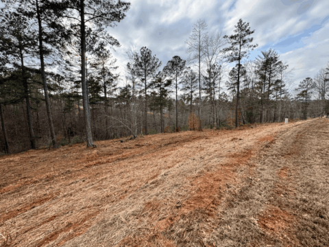 2115 Castle Peak Mtn Connelly Springs NC