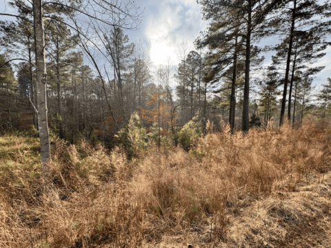 2115 Castle Peak Mtn Connelly Springs NC