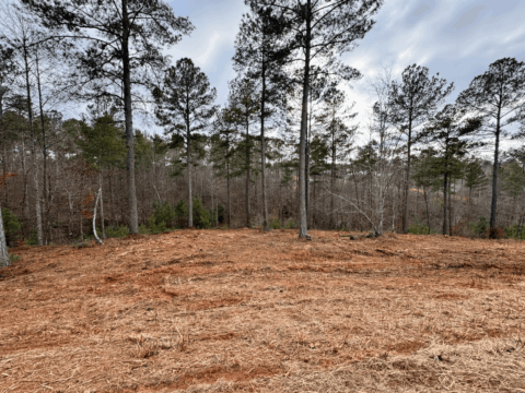 2115 Castle Peak Mtn Connelly Springs NC