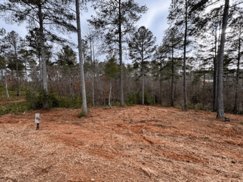 2115 Castle Peak Mtn Connelly Springs NC