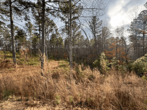 2115 Castle Peak Mtn Connelly Springs NC