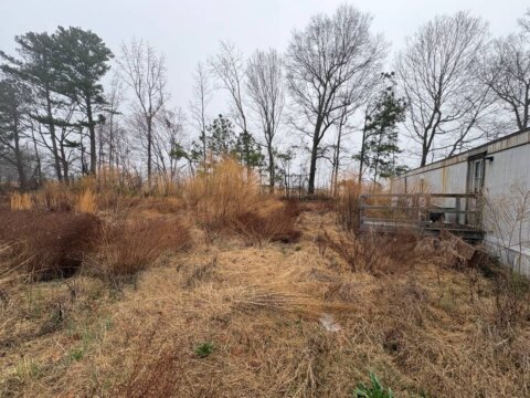 443 Francis Mill Rd Aulander NC