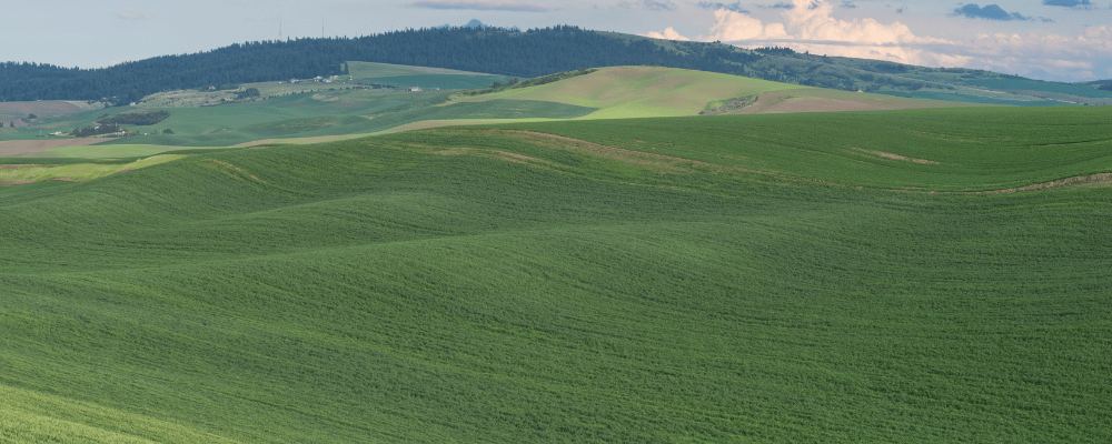 quick cash for land Washington Washington