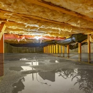 Visible Standing Water In Crawl Space