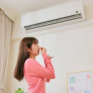 Ways To Get Rid Of Old House Smell In Tacoma