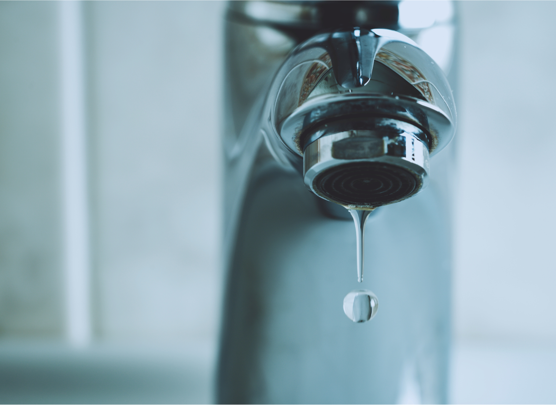 Live in a House Without Running Water Tacoma