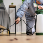 Do I Need a Termite Bond to Sell My House Tacoma