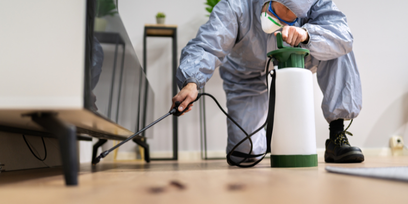 Do I Need a Termite Bond to Sell My House Tacoma