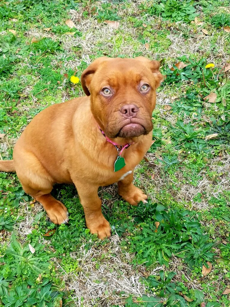 layla_baby_pic