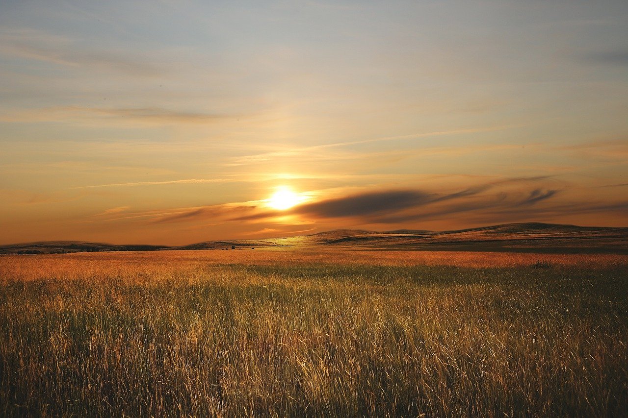 Land Buyers in Conroe